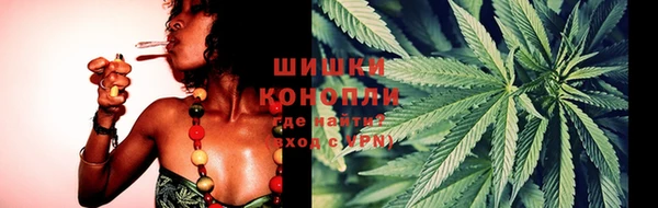 сатива Протвино