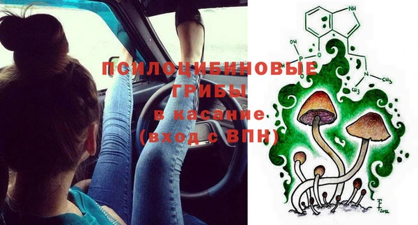 сатива Протвино