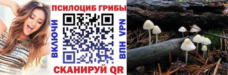 закладка нарко площадка официальный сайт Псилоцибиновые грибы мухоморы Бузулук