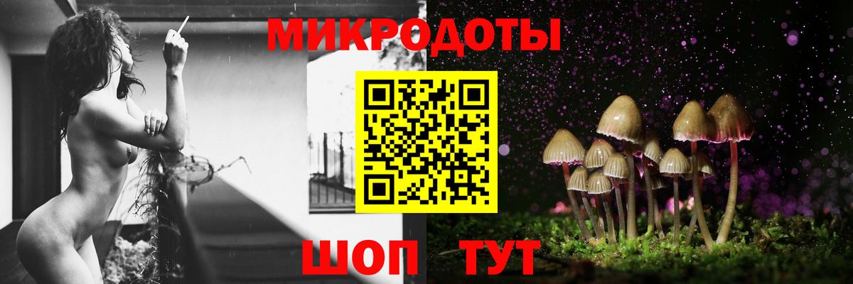 где найти   Бузулук  Псилоцибиновые грибы Magic Shrooms 