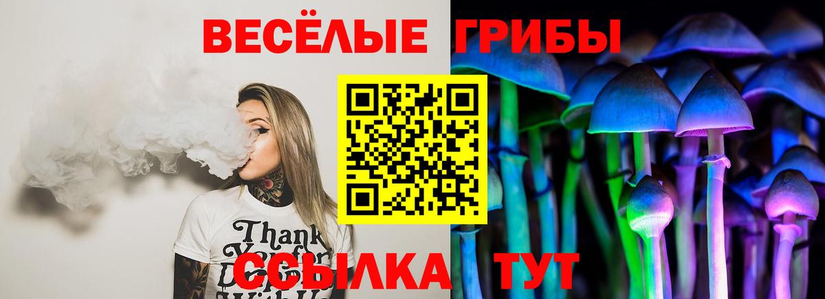 Псилоцибиновые грибы Psilocybe Бузулук