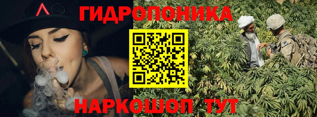 Каннабис LSD WEED  Шишки марихуана сатива  Бузулук  Конопля White Widow 